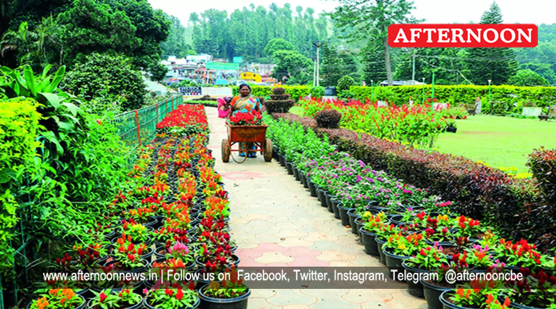 Yercaud Summer Festival And Flower Show To Be Held From May 21 To 28   YORCnLmLuOCm0XgkML3xlmp1iXW0eilngRsGJn1N 